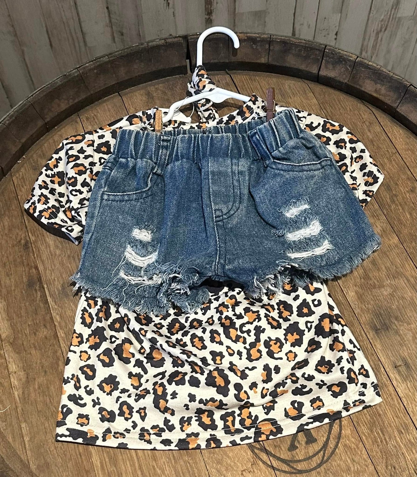 Beautiful Crazy Two Piece Jean Short Set