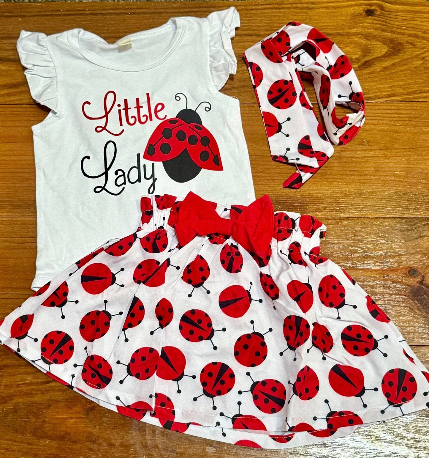 Little Lady Bug Three Piece Skirt Set
