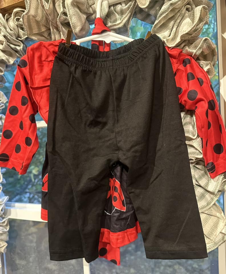 Red Lady Bugs Two Piece Pants