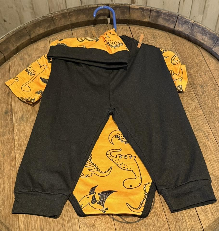 Sunny Dinos Two Piece Pants