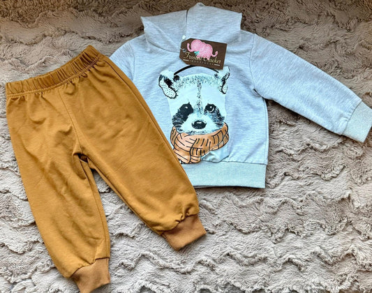 Racoon Sweatsuite