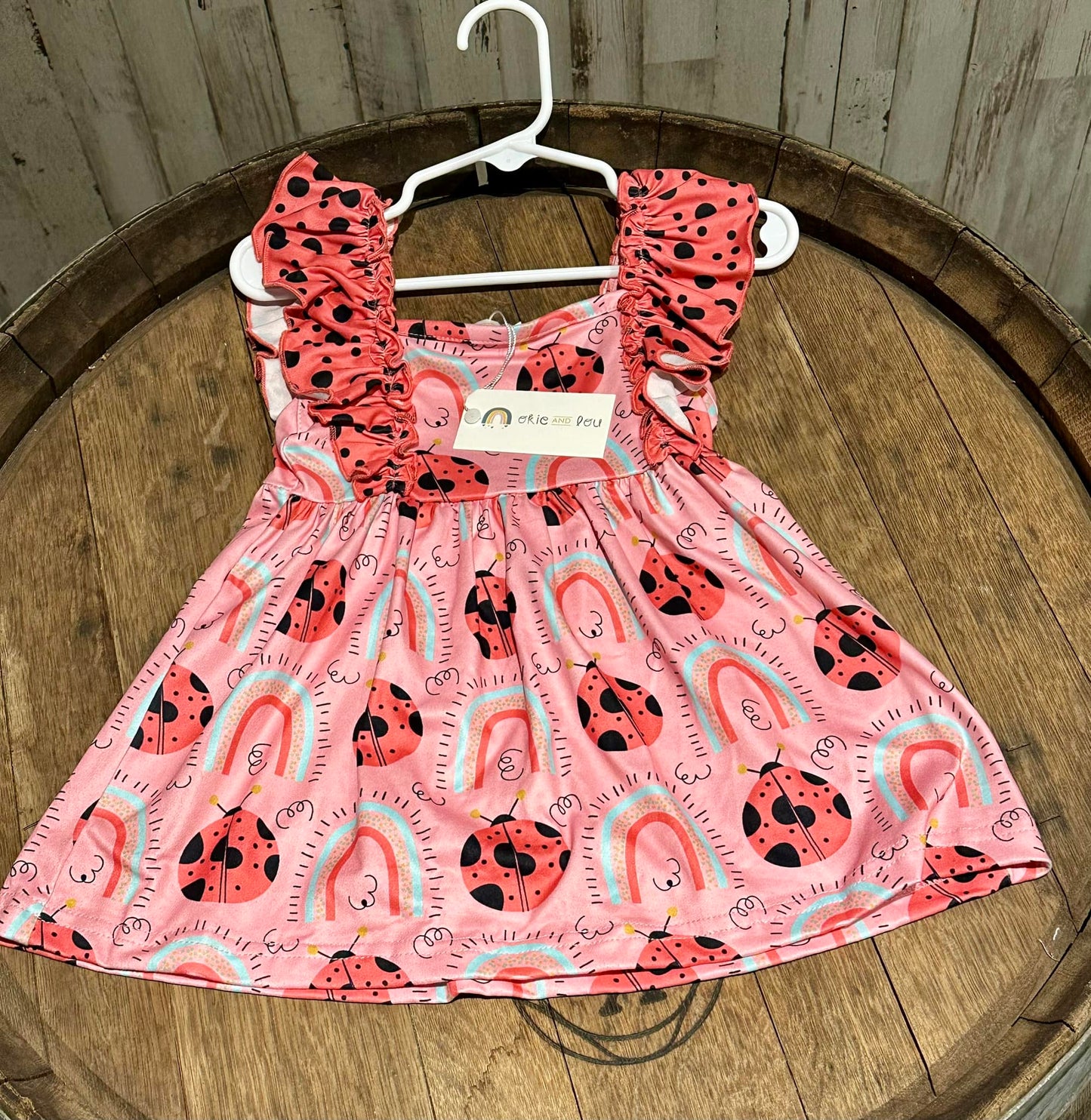 Rainbow Ladybugs Dress