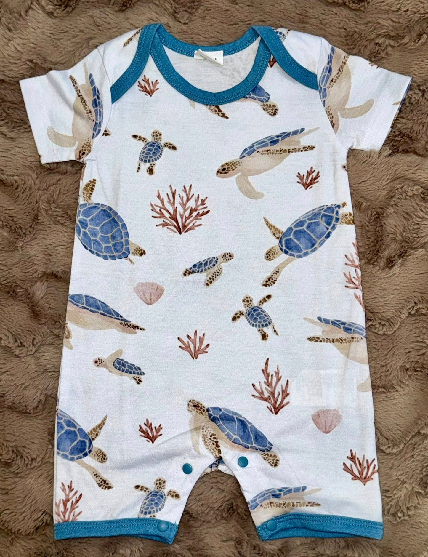 Sea Turtles